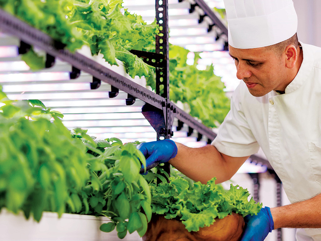  Luxury Maldivian resort celebrates green recognition 